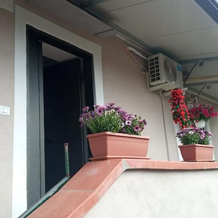 A Casa Di Nonna Anna Villa Ercolano Ngoại thất bức ảnh